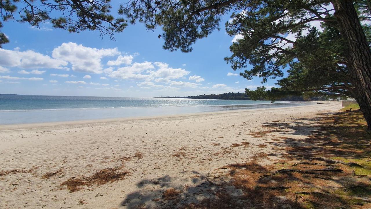Vacances O Loch - Studio A 200 Metres De La Plage - Le Cap Coz Fouesnant Eksteriør bilde