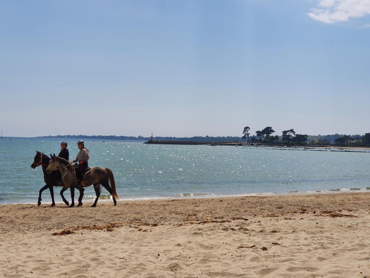 Vacances O Loch - Studio A 200 Metres De La Plage - Le Cap Coz Fouesnant Eksteriør bilde